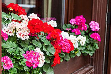 《七日杀》1.0正式版将于6月25日推出